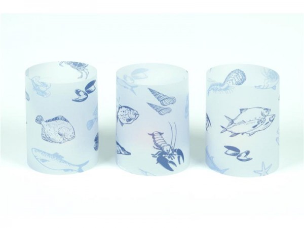 3er Set Windlichter Fische und Meerestiere - flach verpackt